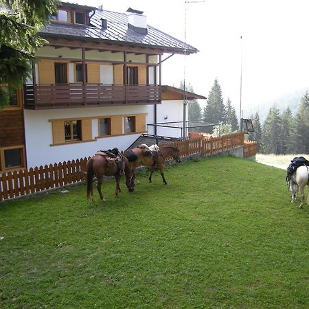 Hotel Piccolo Pocol Cortina dʼAmpezzo Dış mekan fotoğraf