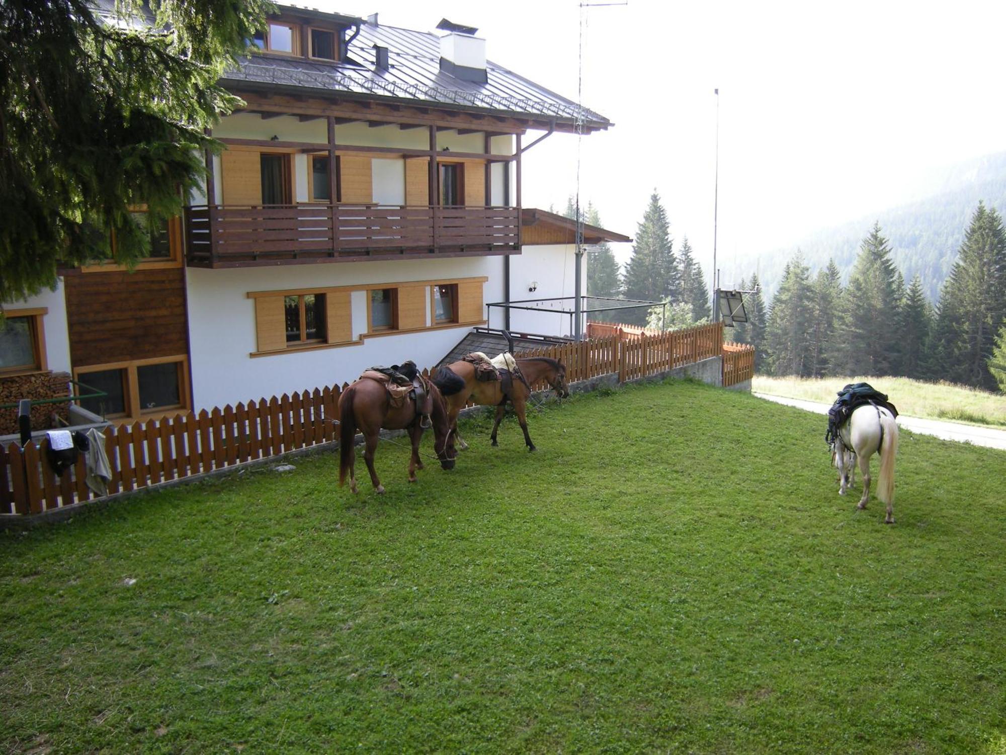 Hotel Piccolo Pocol Cortina dʼAmpezzo Dış mekan fotoğraf